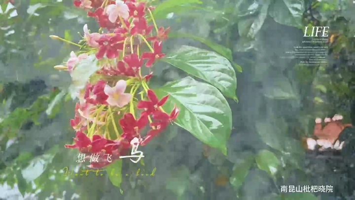 又下雨