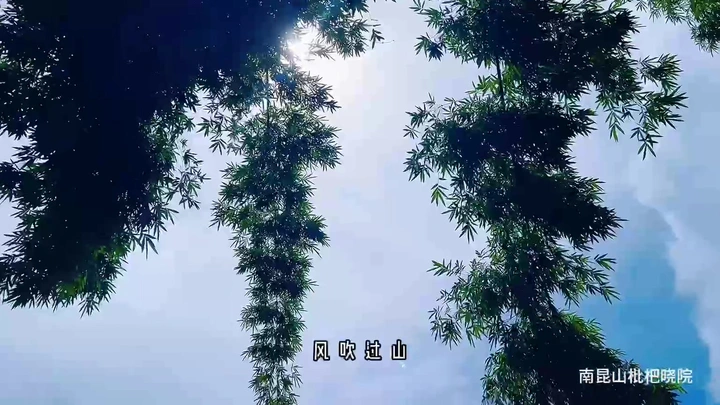 晴雨天