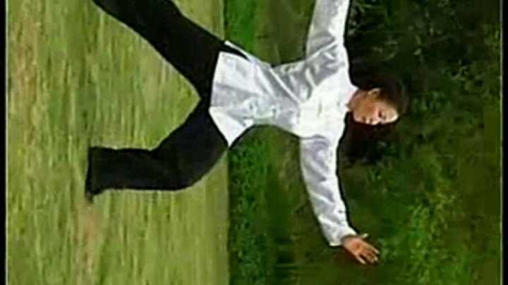 看看太极拳。