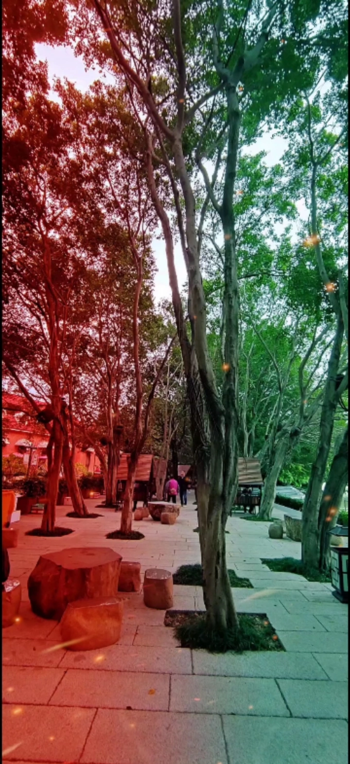 你鼓舞了我