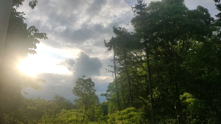 这就是偶然，遇见美景！