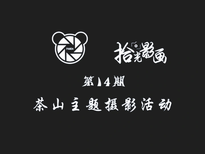茶山活动拍摄花絮
