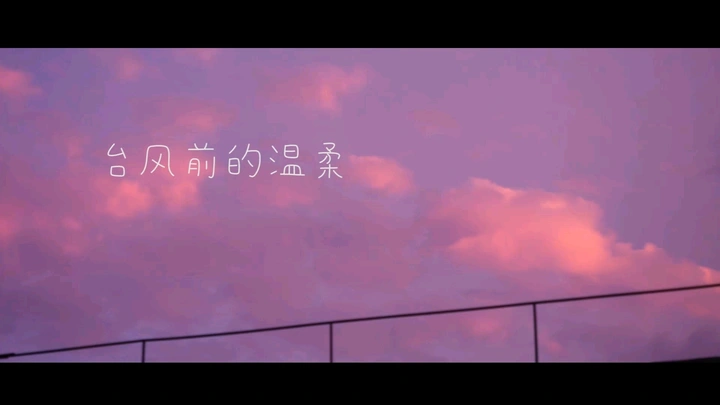 台风前的温柔