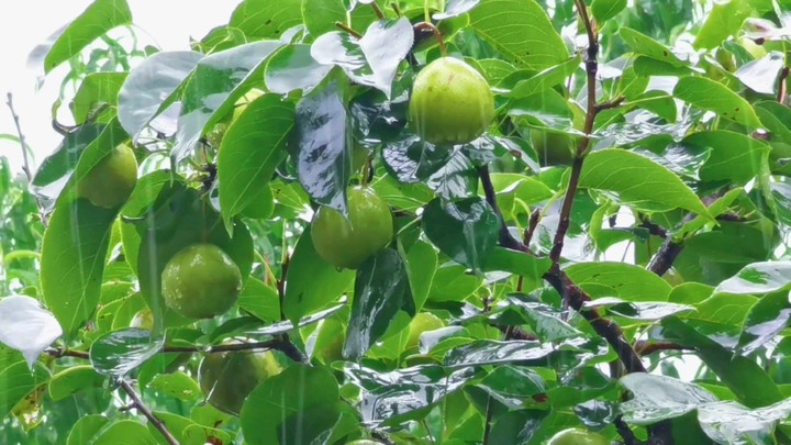 一样的雨季，不一样的高考。