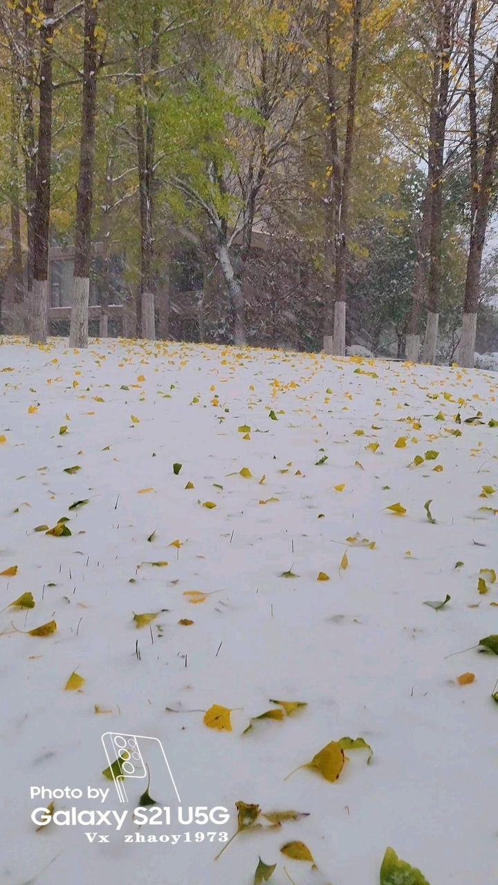 立冬☞天津第一场雪如期而至