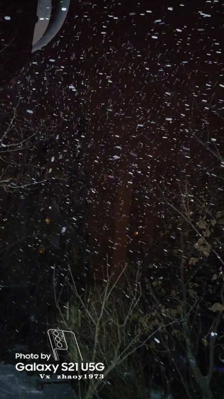 寒夜飞雪の瑞彩迎春