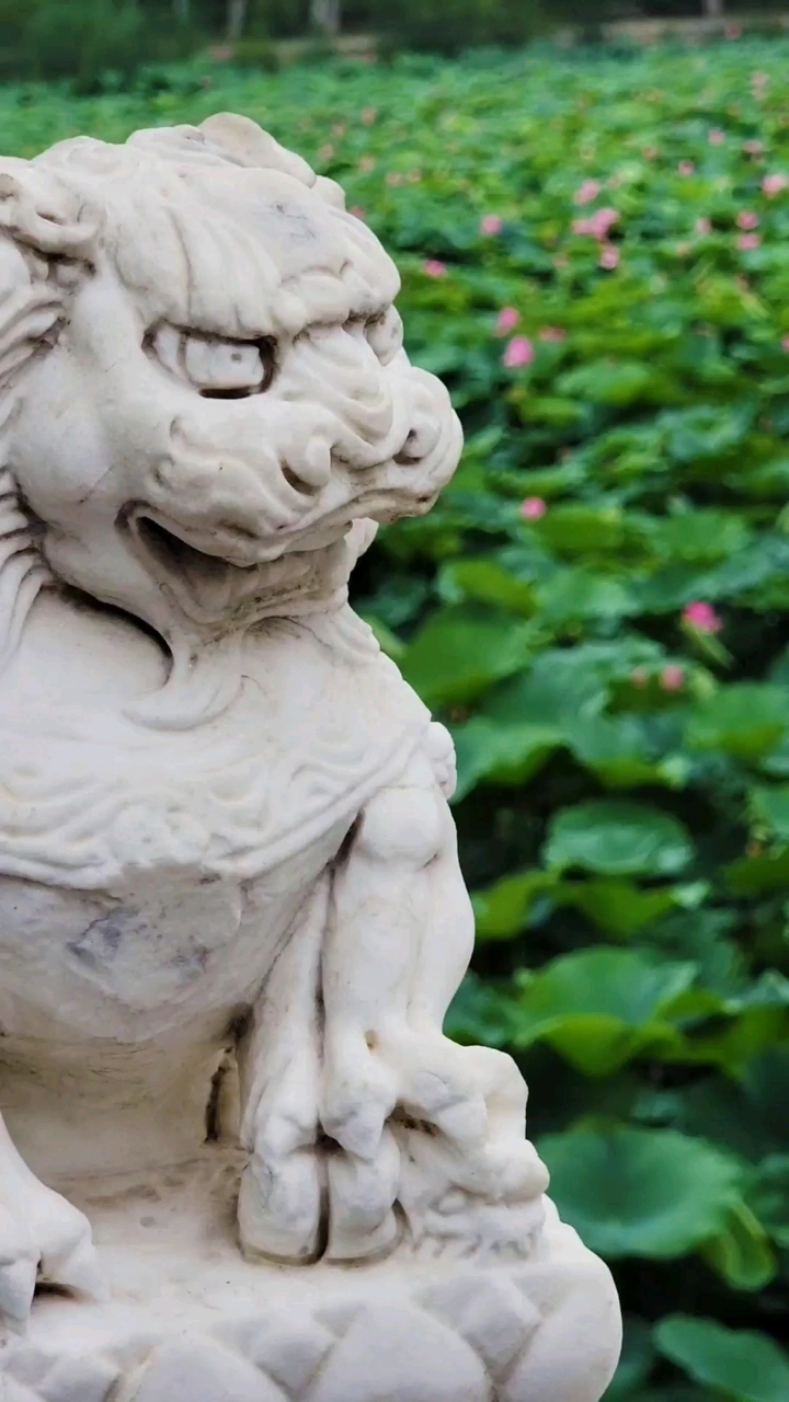 荷塘景色