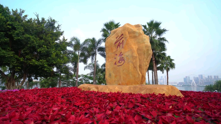 深圳前海石公园