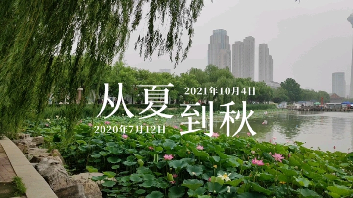 从夏到秋