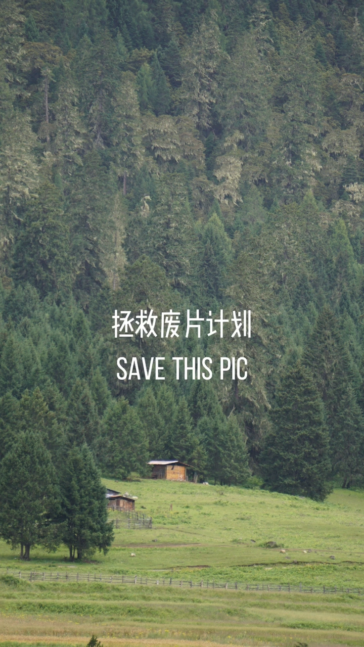 拯救废片计划