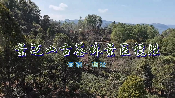 景迈山古茶林景区揽胜