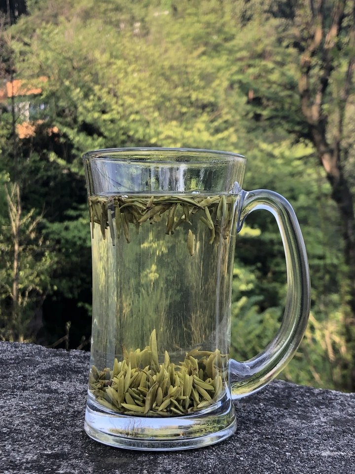 蒙顶山上茶