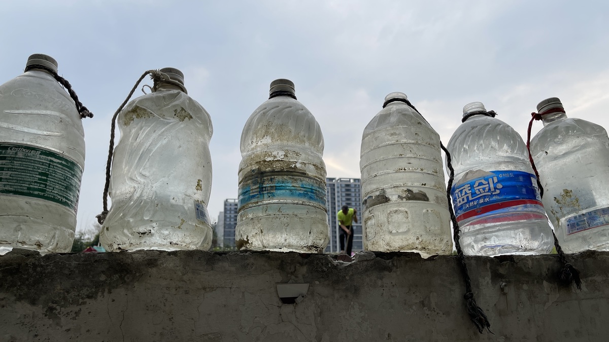 塑料瓶子排成一排 在建筑物的屋顶上。