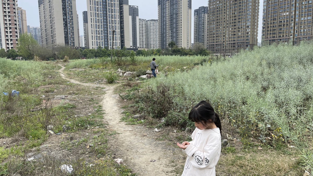 一个小女孩沿着公园里的高层住宅楼背后的小径走 这条小径是城市的道路。