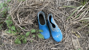一双蓝色的鞋子躺在地上