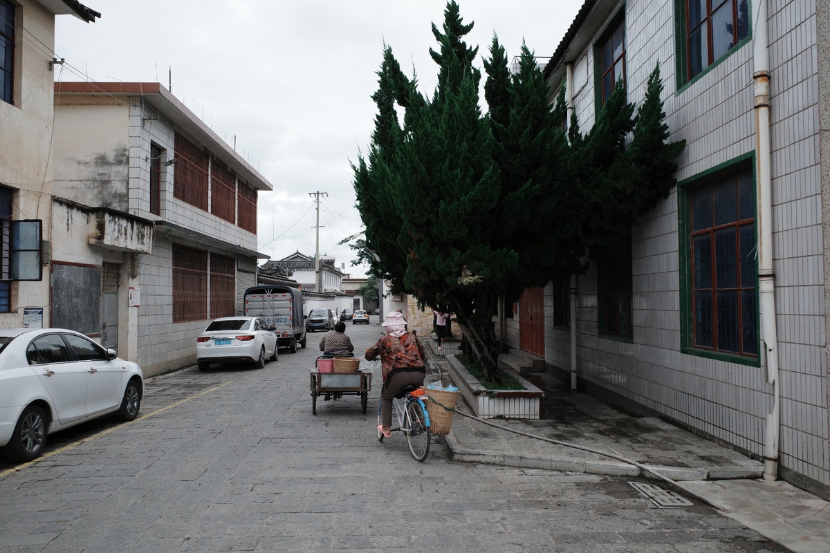 一个人骑自行车穿过一条建筑、汽车和狗拉车行驶的街道