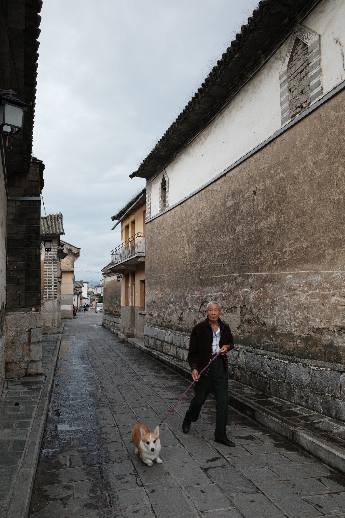 一个牵着狗绳在老街上散步的男人