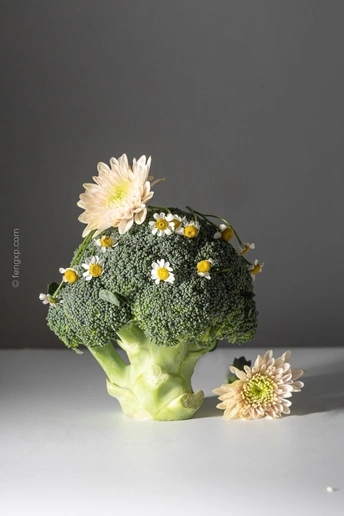 桌子上的菜心前端长着小花