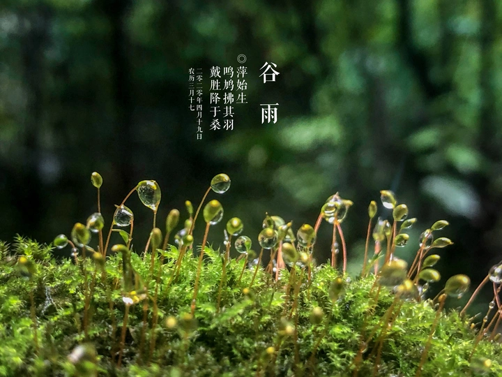 空山新雨后