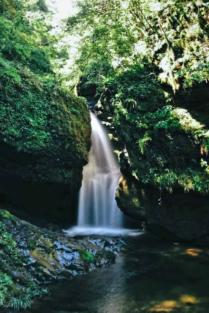 山居岁月