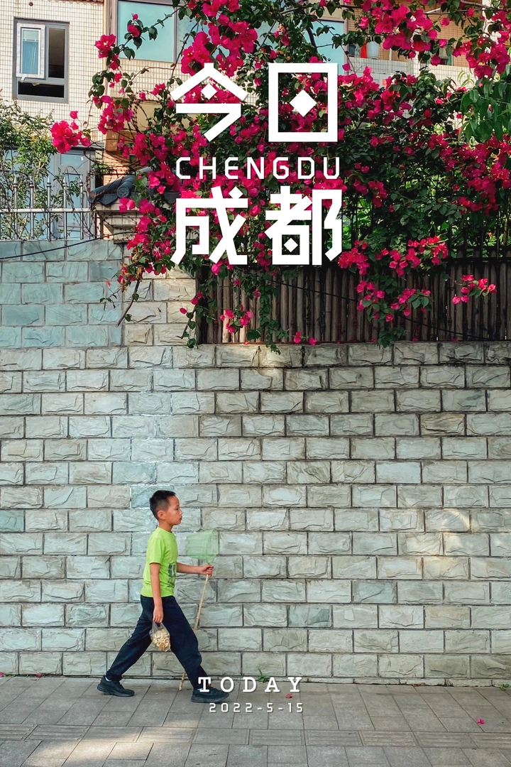 老成都的公园