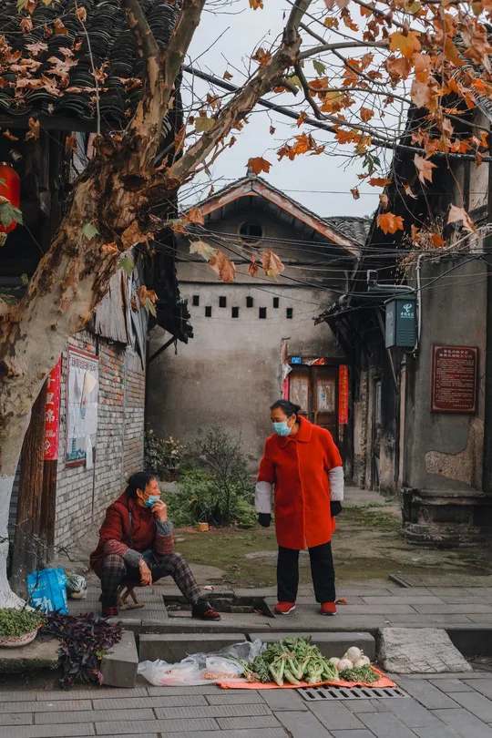一些人在街上树下坐着