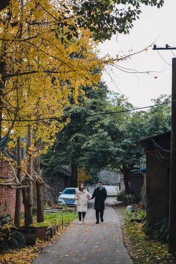 一个男子和一个女子手挽手走在人行道上 沿着铺满黄叶和树木的小径前行。