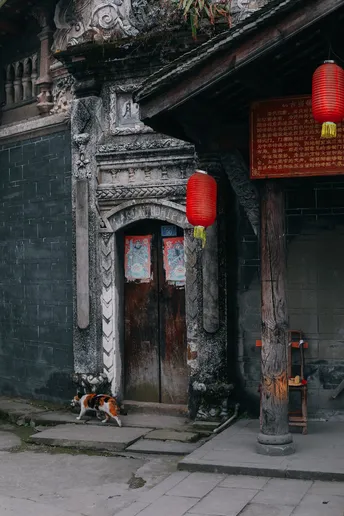 一只小狗站在一栋有红色大门和挂着灯笼的小寺庙前面的老式建筑前。