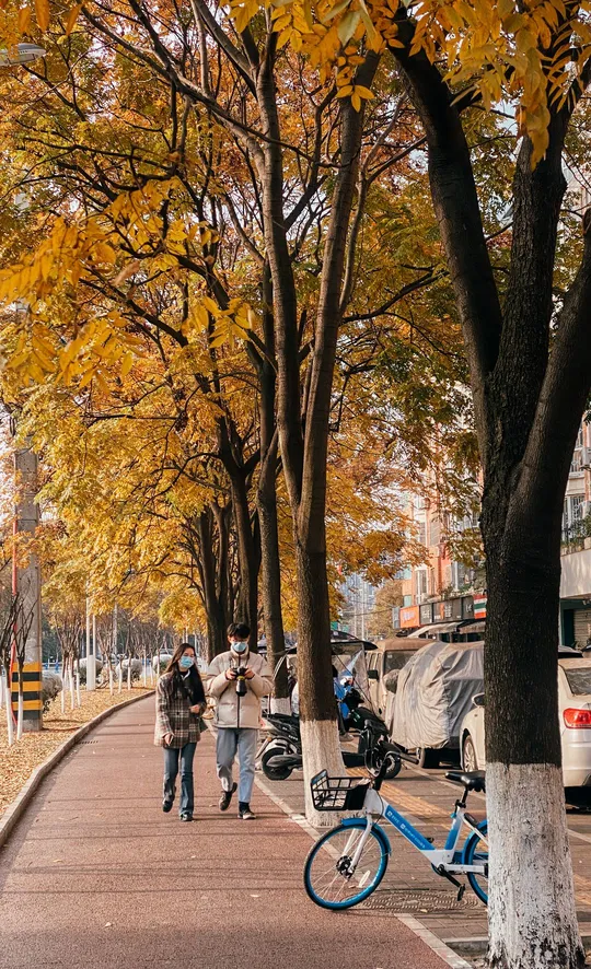 人行道上有树木 树叶在地上 人们走在人行道上 街边停着一辆蓝色的自行车。