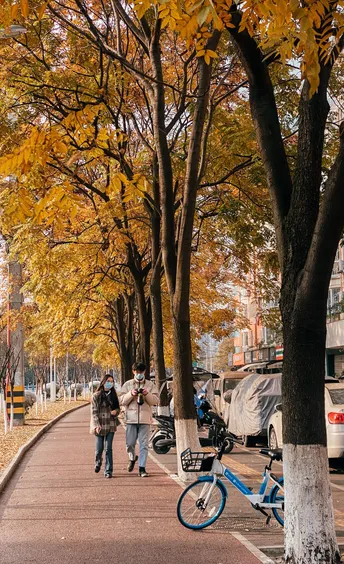 人行道上有树木 树叶在地上 人们走在人行道上 街边停着一辆蓝色的自行车。