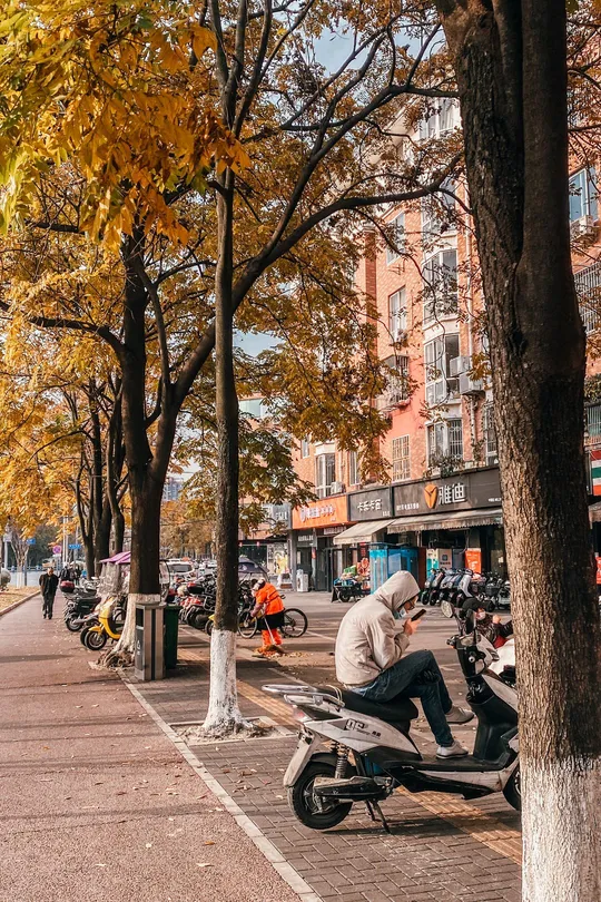 一个坐在人行道旁的长椅上的男人 旁边是一条停满摩多车的街道和树木。