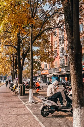 一个坐在人行道旁的长椅上的男人 旁边是一条停满摩多车的街道和树木。