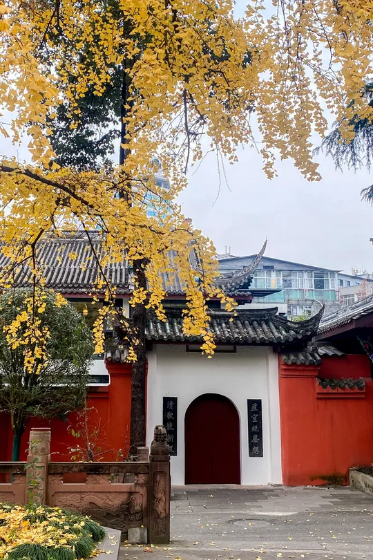 一个带红建筑和树上黄色落叶的小庭院