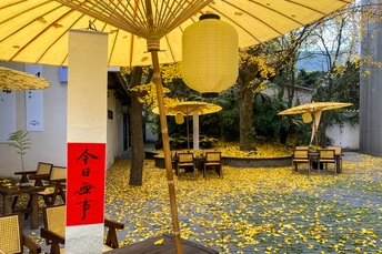 一个有桌子、椅子和遮阳伞的庭院