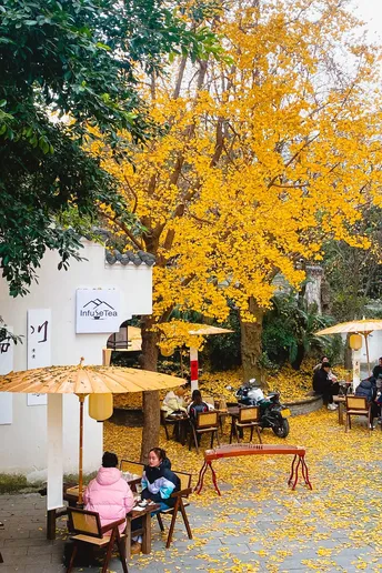 人们在黄树下的桌子旁