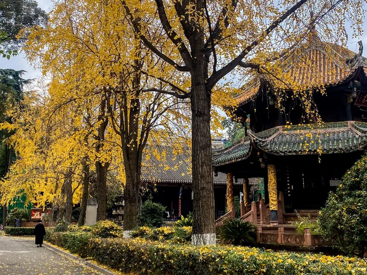 秋天公园中的一个路径 有宝塔和其他建筑