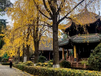 秋天公园中的一个路径 有宝塔和其他建筑