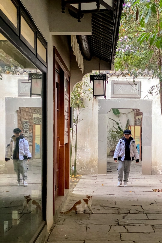 一个人背着书包 猫和狗跟着走在一个狭窄的巷子里