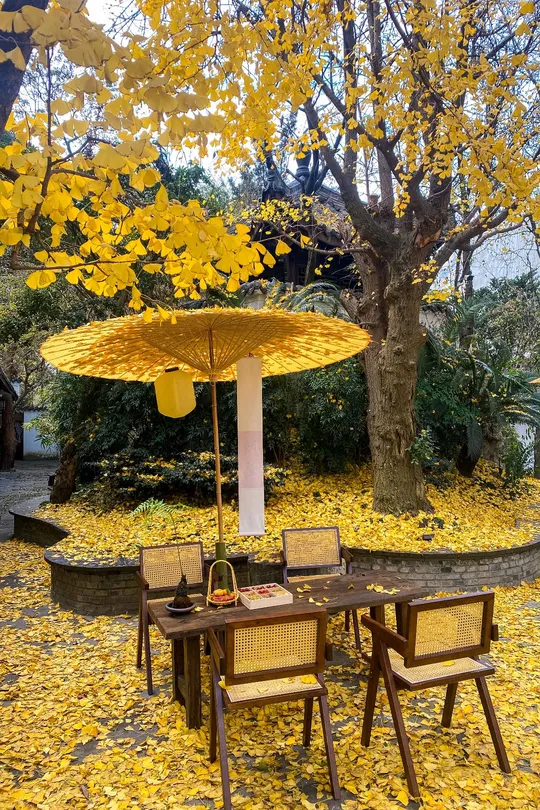 桌子、椅子、黄色遮阳伞