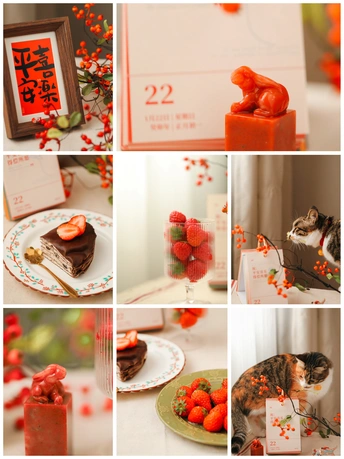 一幅包含猫和蛋糕的拼贴画