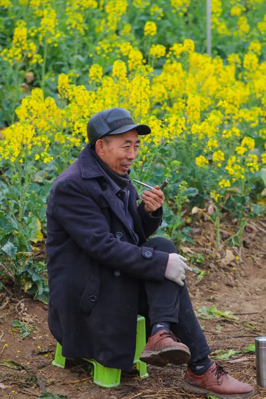 一个老人坐在椅子上抽烟斗 周围是黄色的花朵。