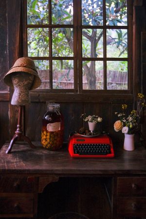 一台老式打字机放在一个带有窗户和一盆植物的瓶子里的桌子上
