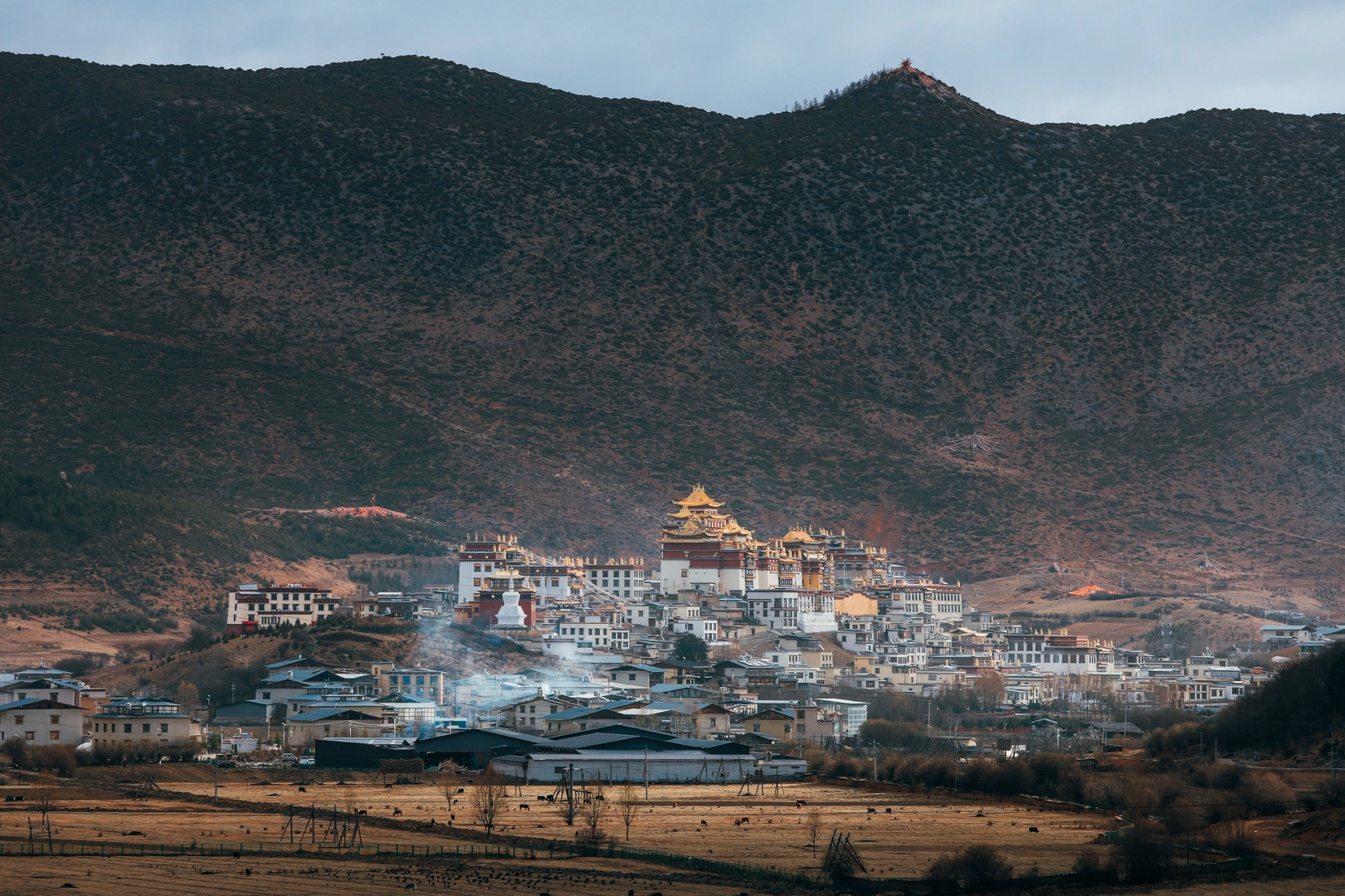 山谷中的城市 背景有山丘和山脉。