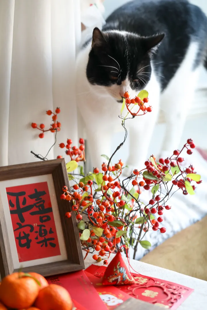2024春节