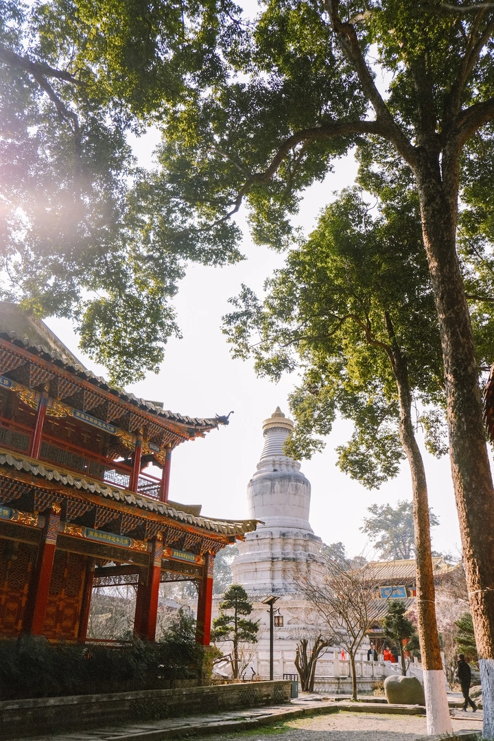 古寺里寻春，林深时见鹿