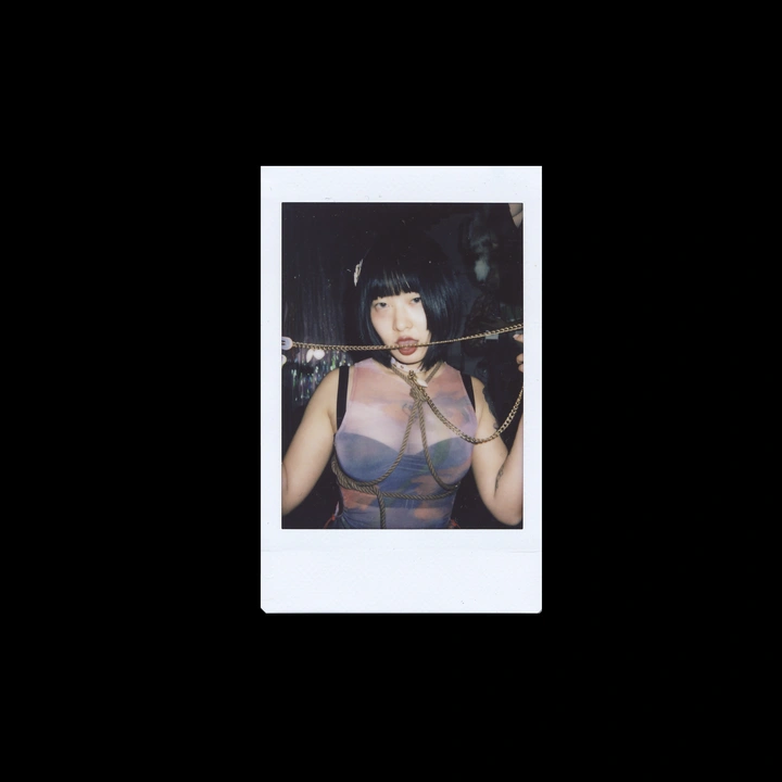 杂