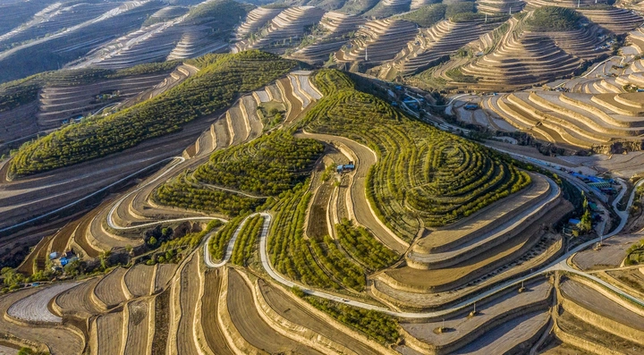 黄土高原上旱塬梯田