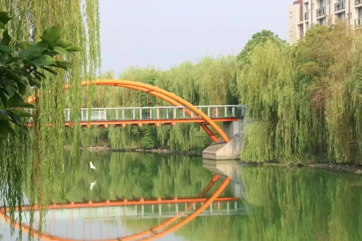 大学