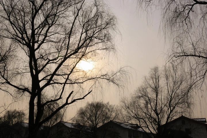你好，我住云之巅