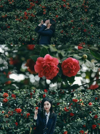 一个人正在花园里给一位站在红玫瑰中的女人拍照
